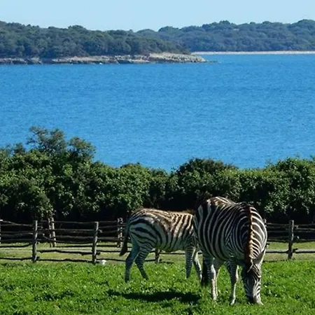 Zdravko Apartment Stinjan