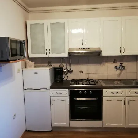 Zdravko Apartment Stinjan